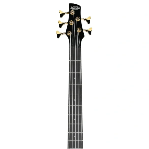 Ibanez GSR205PC-TMU GSR Serisi 5 Telli Bas Gitar