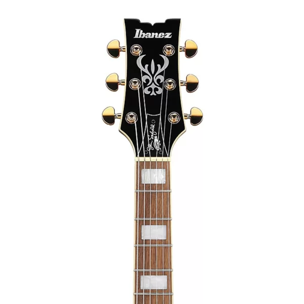 Ibanez JSM10EM-TTM John Scofield Signature Serisi Hallow Body Elektro Gitar