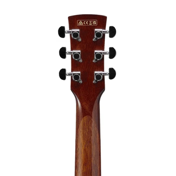 Ibanez PF16WCE-NT Elektro Akustik Gitar