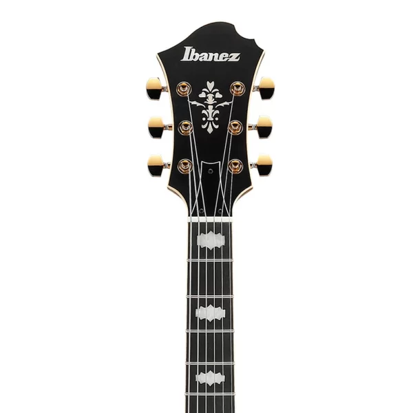 Ibanez PM3C-NAL Pat Metheny Signature Natürel Hollow Body Elektro Gitar