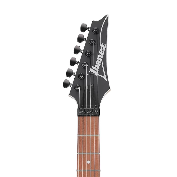 Ibanez RG420EX-BKF Elektro Gitar