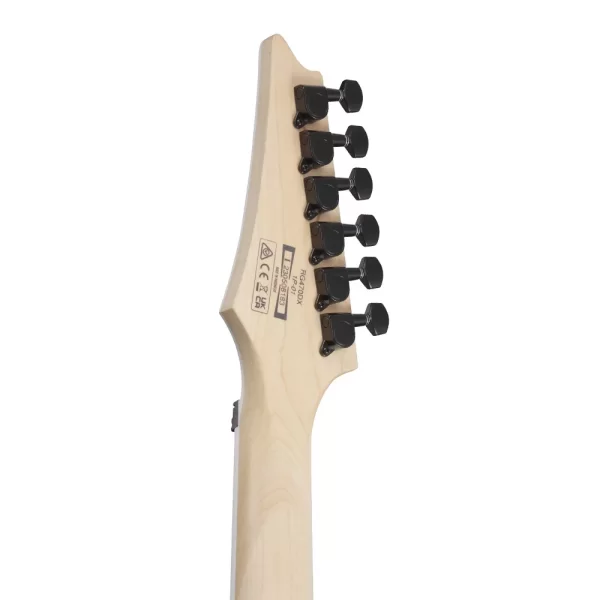 Ibanez RG470DX-SFM Elektro Gitar