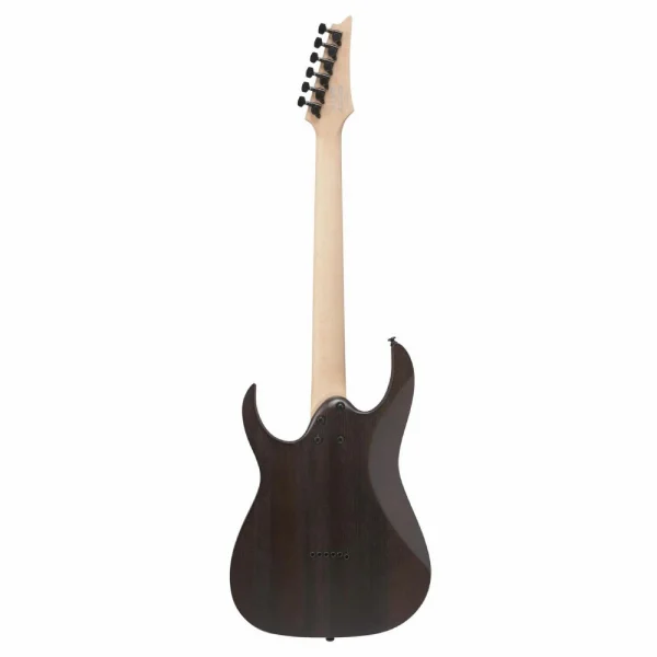 IBANEZ RGR431PB-CGF Elektro Gitar
