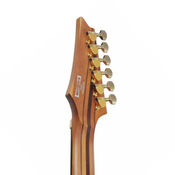 IBANEZ RGT1220PB-ABS Elektro Gitar