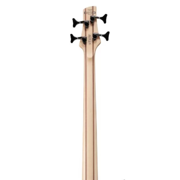 Ibanez SR300E-DOT Bas Gitar