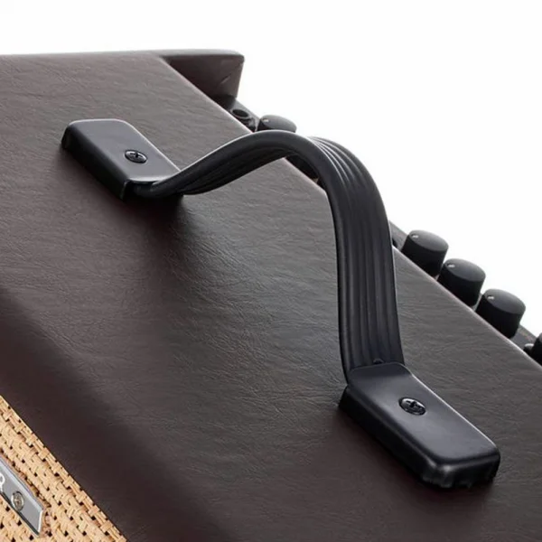 Ibanez T30II-U Akustik Gitar Amfisi