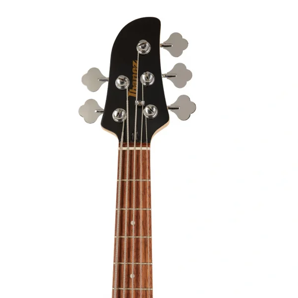 IBANEZ TMB35-MGR / 5 Telli Bas Gitar