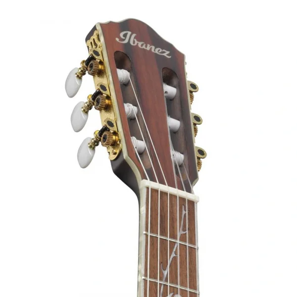 Ibanez TOD10N-TKF Tim Henson Signature Elektro Klasik Gitar