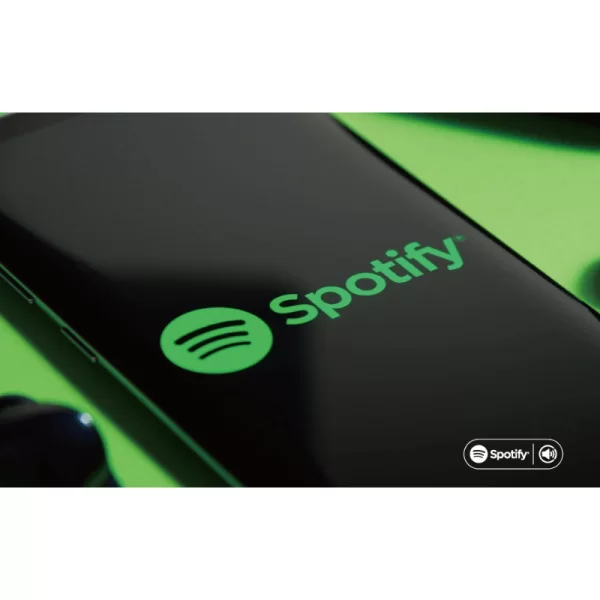 ieast AMP80 Network Özellikli Amplifikatör