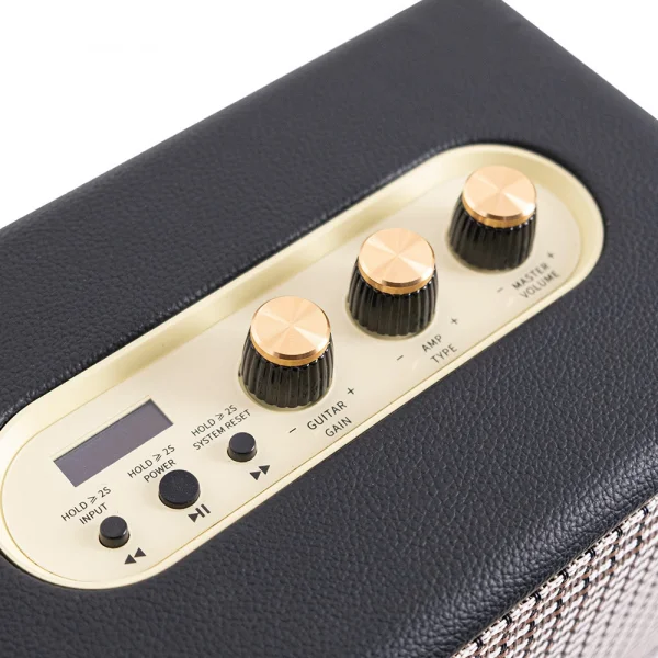 KOZMOS Blaze-30BK Uygulama ile Kontrol Edilebilen Elektro Gitar Amfisi ve Bluetooth Hoparlör