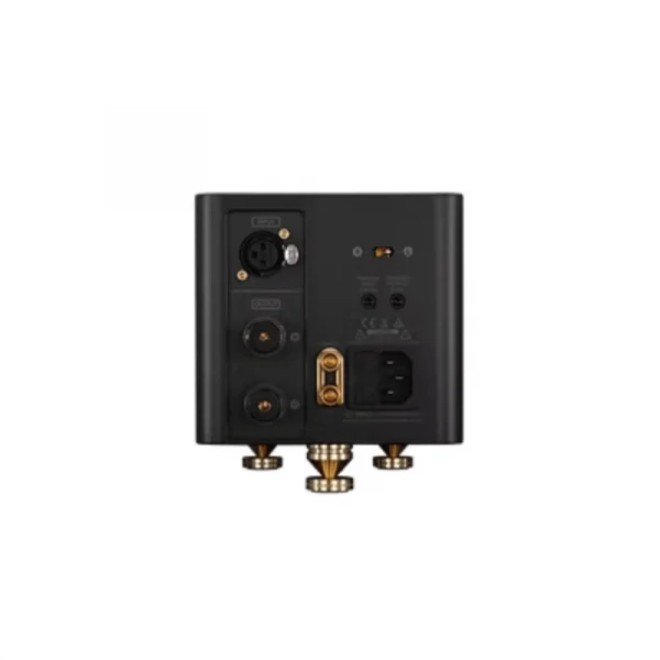 Laiv Audio HARMONY GaNM Mono Güç Amplifikatörü