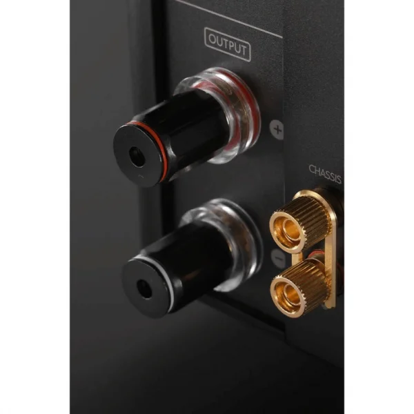 Laiv Audio HARMONY GaNM Mono Güç Amplifikatörü