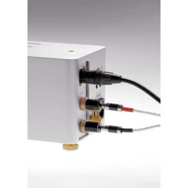 Laiv Audio HARMONY GaNM Mono Güç Amplifikatörü