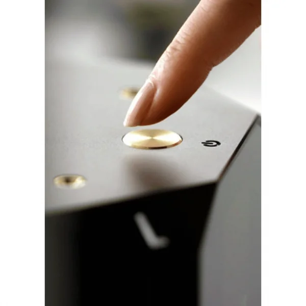 Laiv Audio HARMONY GaNM Mono Güç Amplifikatörü