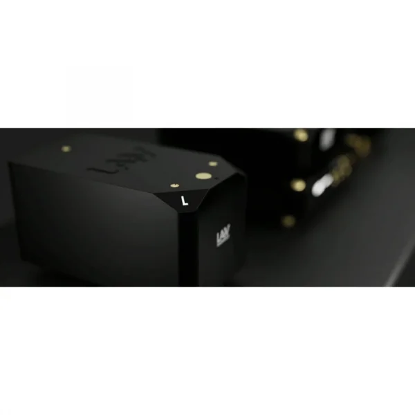 Laiv Audio HARMONY GaNM Mono Güç Amplifikatörü