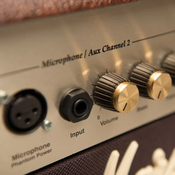 MARSHALL AS50DV Akustik Enstrüman Amfisi