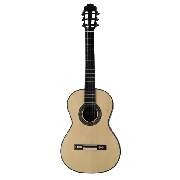 MARTINEZ Torres 1859 Case Dahil Klasik Gitar