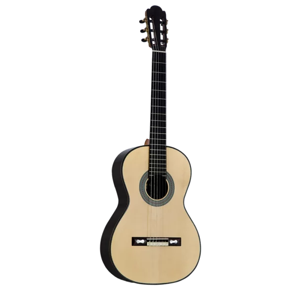 MARTINEZ Torres 1859 Case Dahil Klasik Gitar