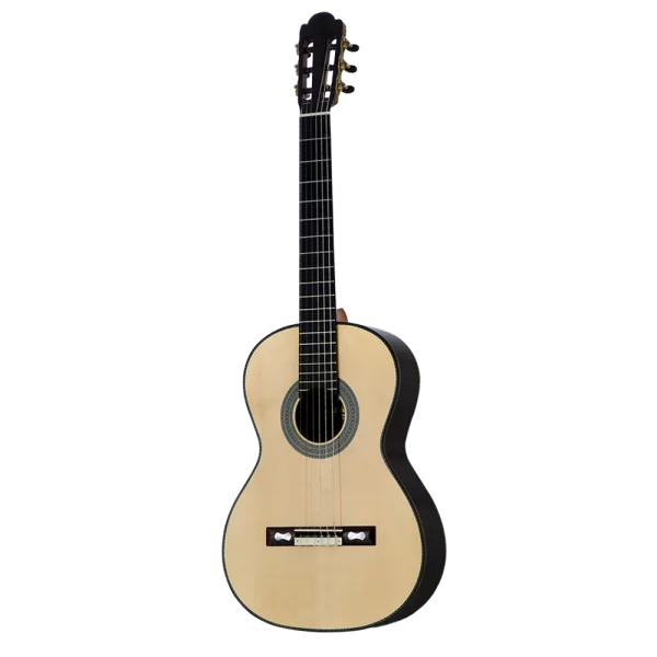 MARTINEZ Torres 1859 Case Dahil Klasik Gitar