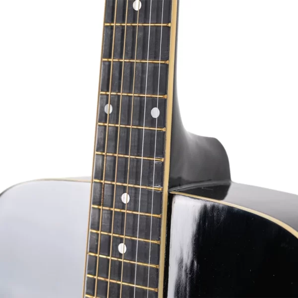 Mercury MSEA1-BK Elektro Akustik Gitar