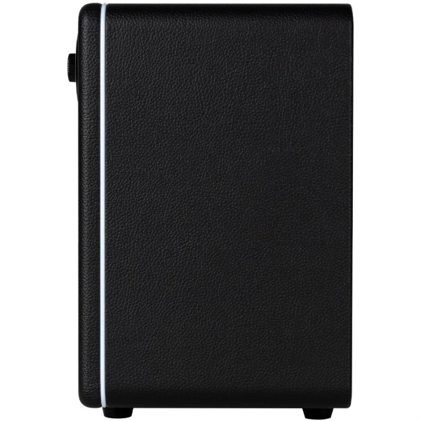 Mooer DH15IBK Hornet Black Combo Gitar Amfisi