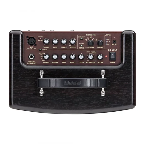 ROLAND AC-22LX Akustik Gitar Amfisi