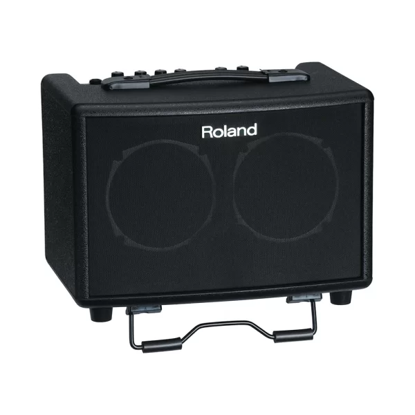 ROLAND AC-33 - 30W Akustik Enstrüman Amfisi