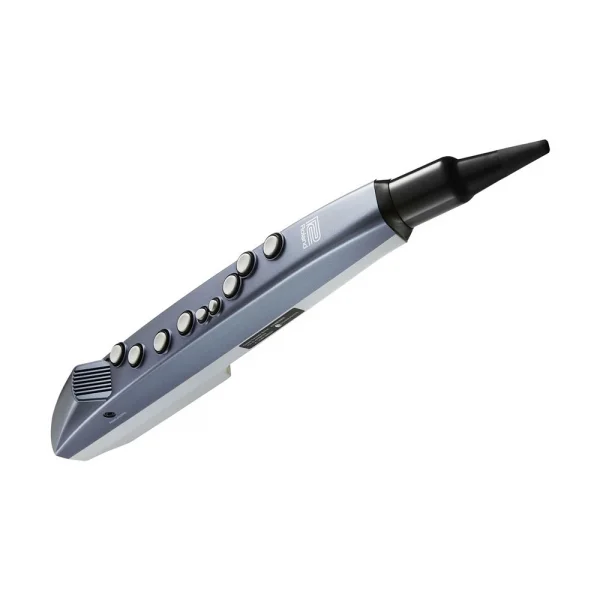ROLAND AE-01 Aerophone Mini Dijital Nefesli Enstrüman