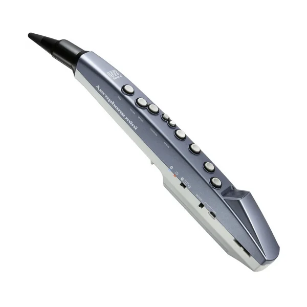 ROLAND AE-01 Aerophone Mini Dijital Nefesli Enstrüman