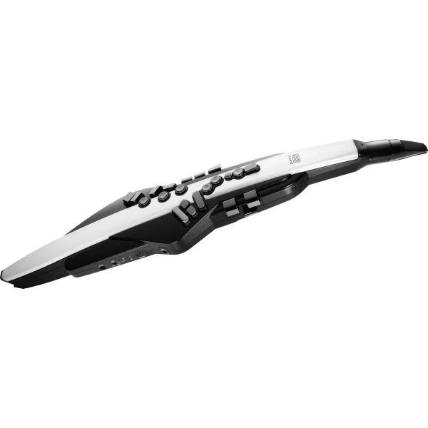 ROLAND AE-20 Aerophone Dijital Nefesli Enstrüman