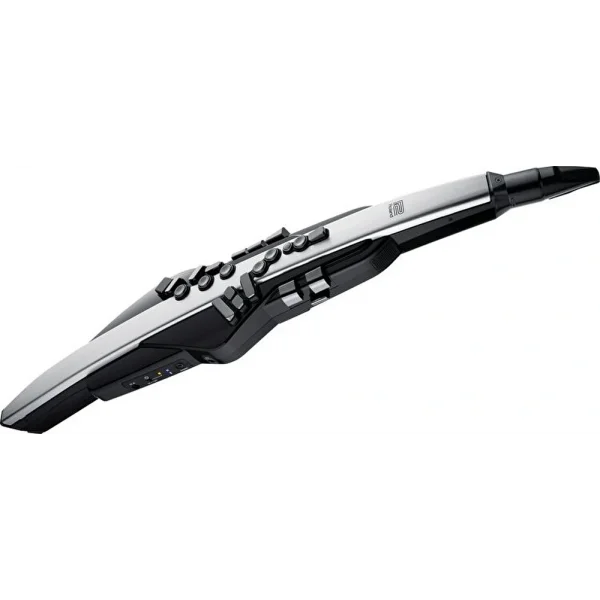 Roland AE-30 Aerophone Pro Dijital Nefesli Enstrüman