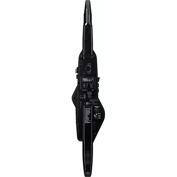 Roland AE-30 Aerophone Pro Dijital Nefesli Enstrüman