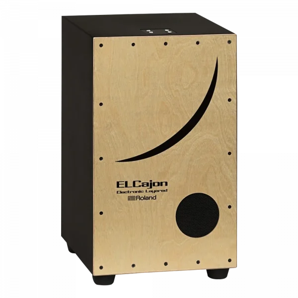 ROLAND EC-10 - El Cajon Elektronik Cajon