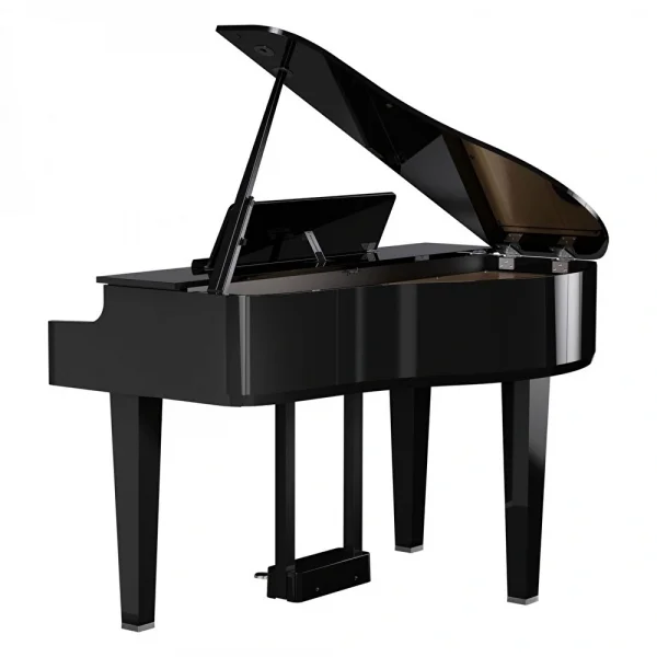 ROLAND GP-6-PE Parlak Siyah Kuyruklu Dijital Piyano