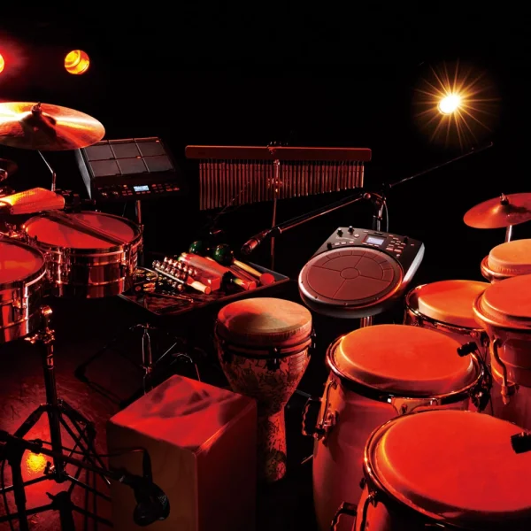 ROLAND HPD-20 Elektronik Perküsyon