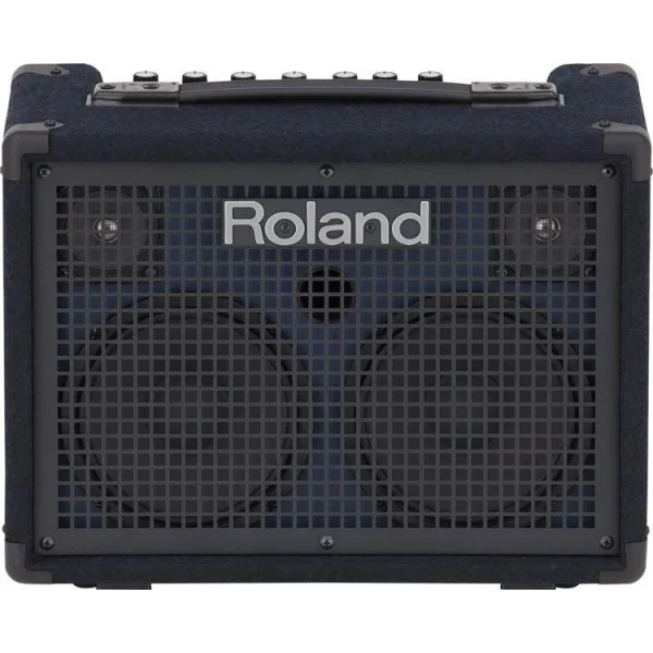 ROLAND KC-220 Klavye Amfisi