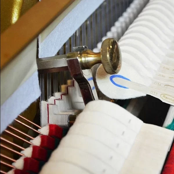 SCHIMMEL C 116 Tradition Parlak Siyah 116 CM Duvar Piyanosu
