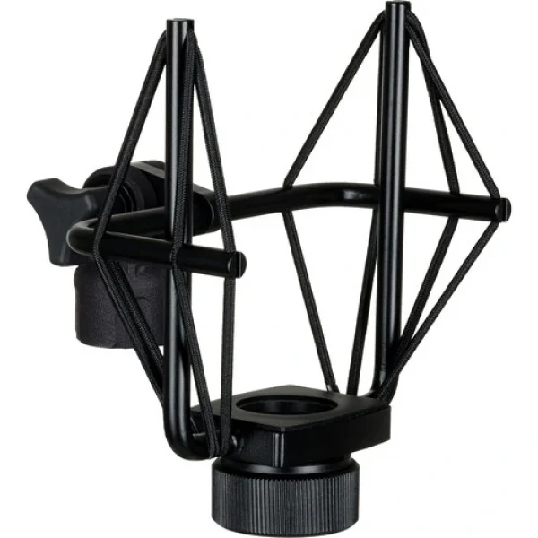 sE Electronics sE4400 Large-Diaphragm Multi-Pattern Condenser Mikrofon (Siyah)