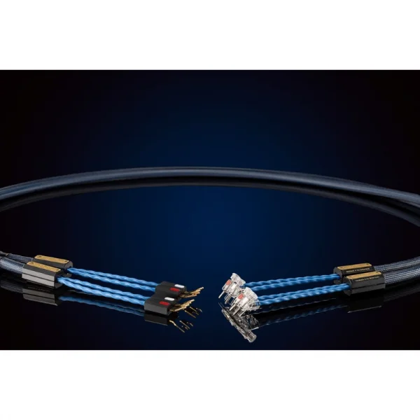 Siltech ROYAL SINGLE CROWN SSP009 silver-gold spade Sonlandırılmış Hoparlör Kablosu