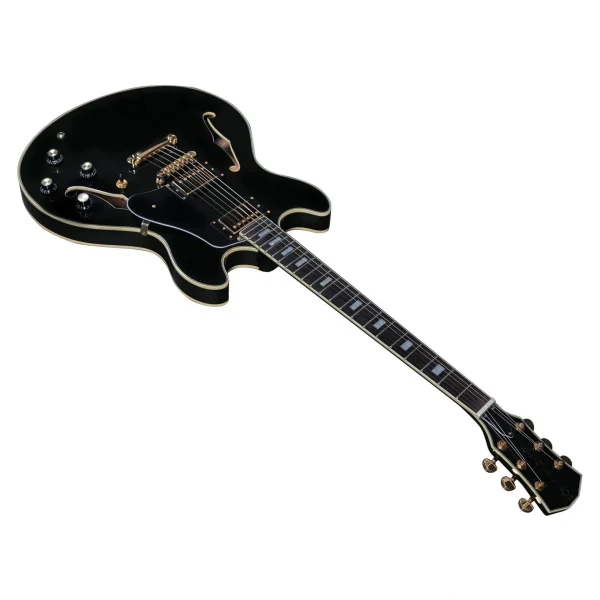 Sire Larry Carlton H7 Elektro Gitar (BK) Kılıflı