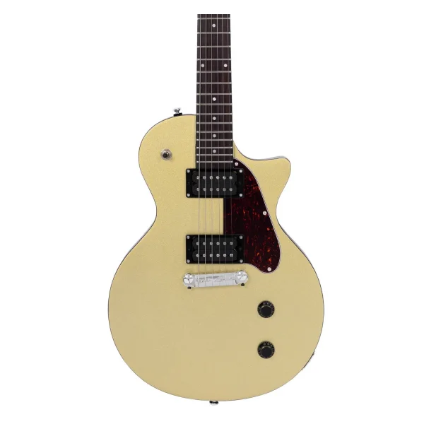 Sire Larry Carlton L3 HH Elektro Gitar GDT