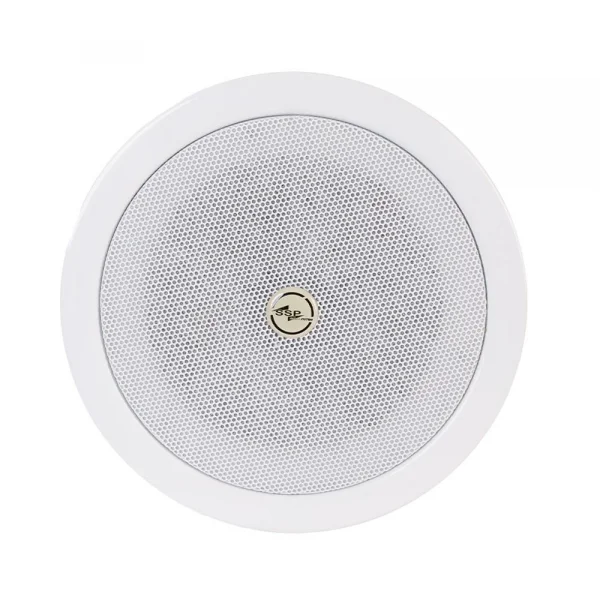 SSP Audio VA Serisi İçin Metal Sıva Üstü Montaj Kasası