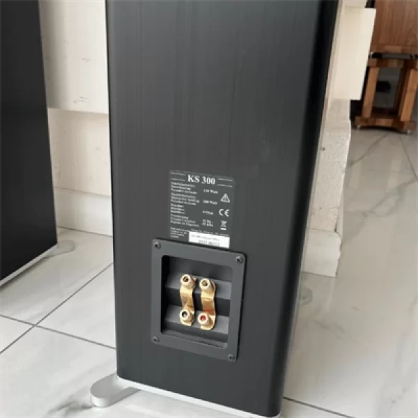 T+A KS 300 Kule Hoparlör