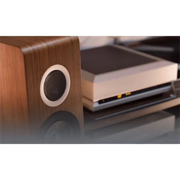 TAD Evolution TWO TAD-E2 Kule Hoparlör