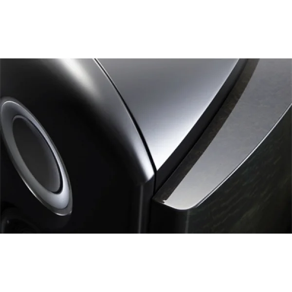 TAD Reference ONE TAD-R1TX Kule Hoparlör