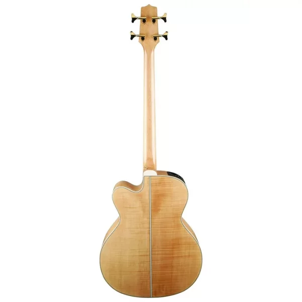 Takamine GB72CE-NAT Akustik Bas Gitar