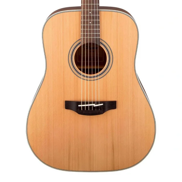 Takamine GD20-NS Akustik Gitar