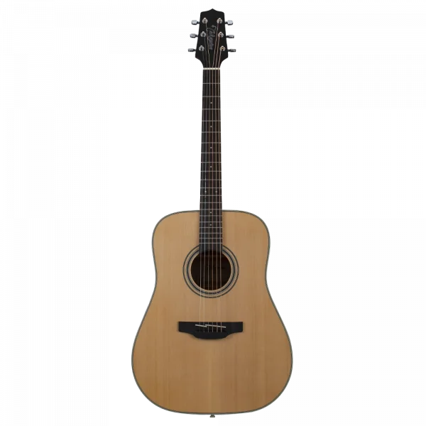 TAKAMINE GD20LHNS 20 Serisi Dreadnought Natural Solak Akustik Gitar