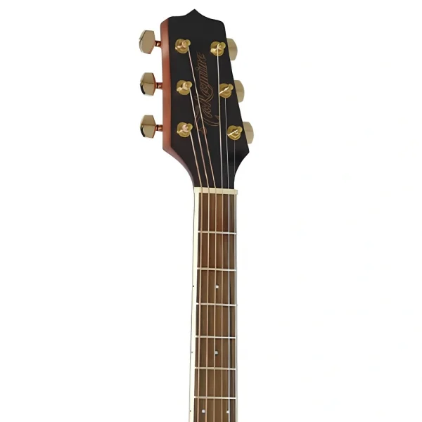 Takamine GD51CE NS Elektro Akustik Gitar