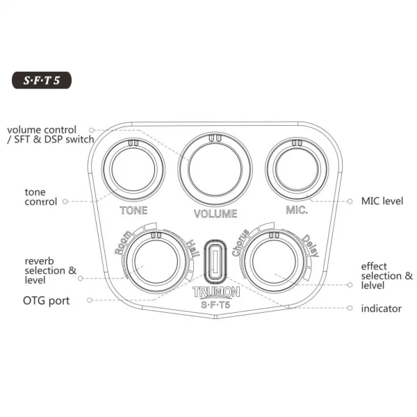 Trumon Wing 950TF-S5 Elektro Akustik Gitar